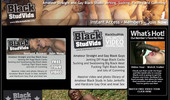 Black Stud Vids