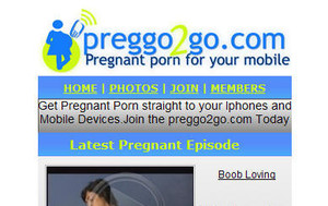 Preggo 2 Go