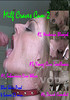Video On Demand