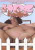 DVD : Hog Farm