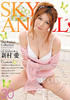 Sky Angel 30