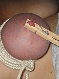 See amateur girls get their pussies and nipples punished by their boyfriends