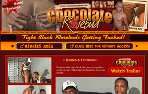 chocolate-rosebud