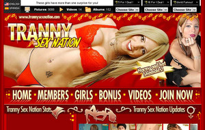 tranny-sex-nation