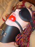 Use My Wife